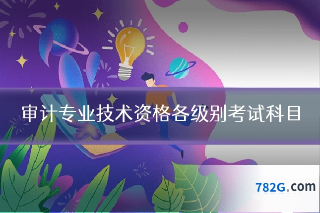 审计专业技术资格各级别考试科目