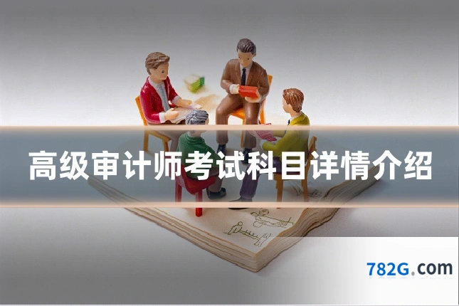 高级审计师考试科目详情介绍