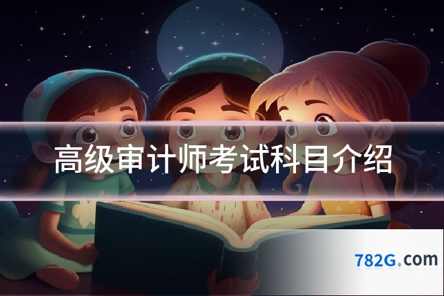 高级审计师考试科目介绍