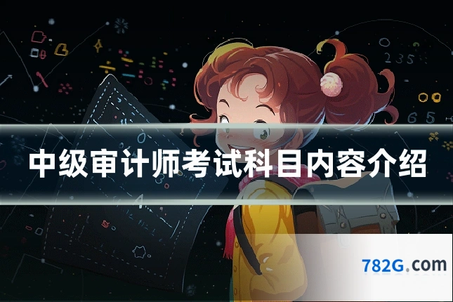 中级审计师考试科目内容介绍