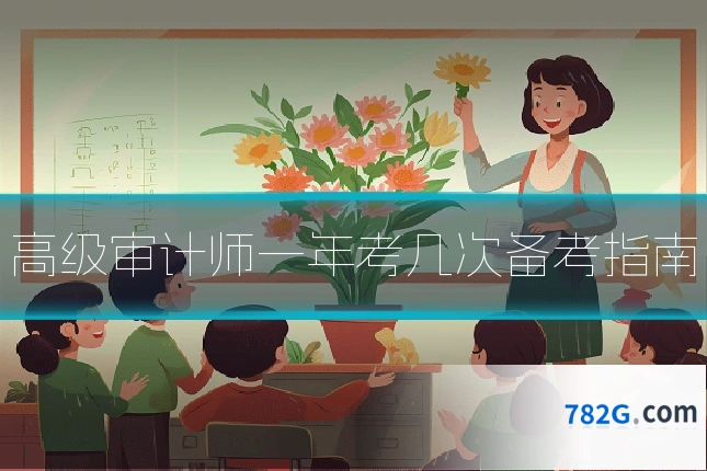 高级审计师一年考几次备考指南