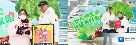 传说中的合合岛小熊猫