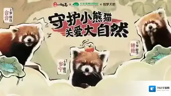 传说中的合合岛合合