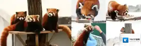 传说中的合合岛创梦天地