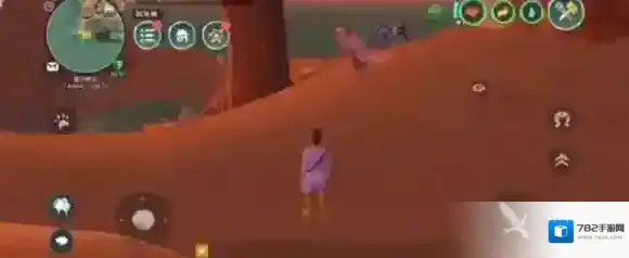 创造与魔法鹦鸟