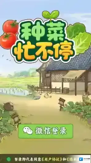 种菜忙不停玩家