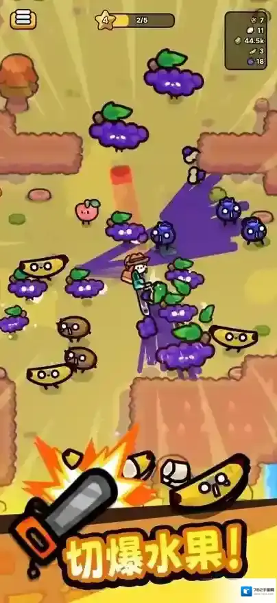 我只是水果水果