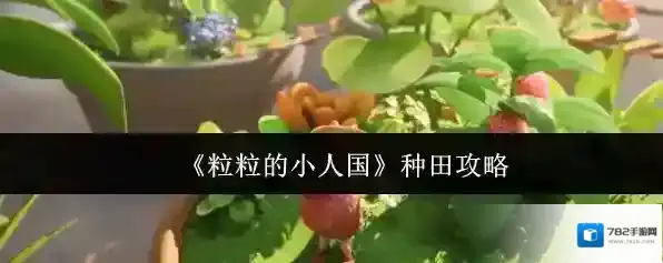 《粒粒的小人国》种田攻略