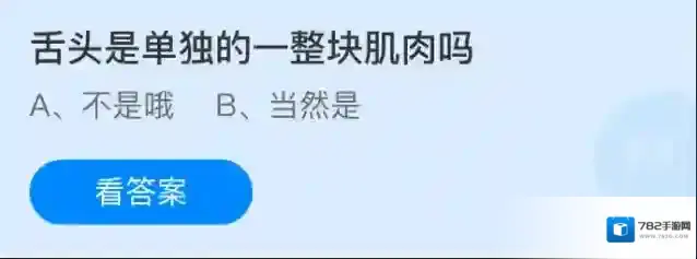 舌头是单独的一整块肌肉吗