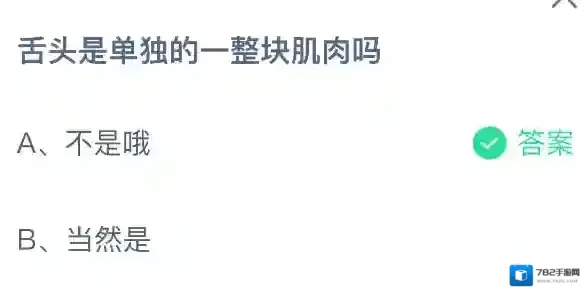 支付宝答案大全