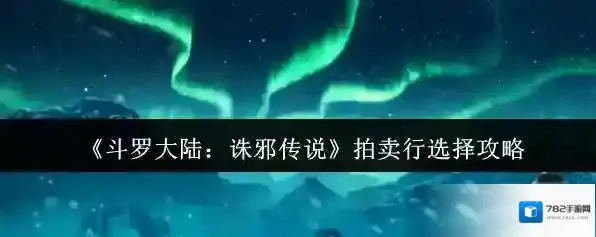 《斗罗大陆：诛邪传说》拍卖行选择攻略