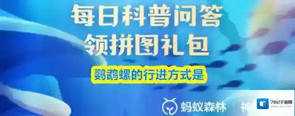 鹦鹉螺的行进方式是