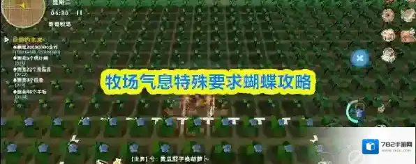 牧场气息特殊要求蝴蝶攻略