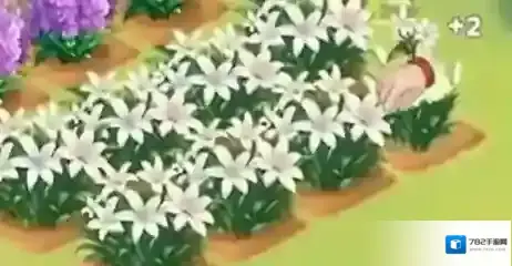 我的花园世界种花