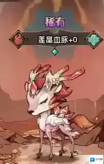 奥丘：树海之下血脉