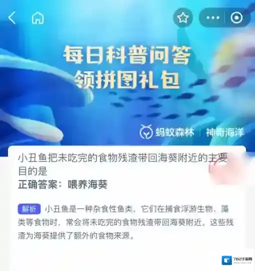 支付宝食物残渣