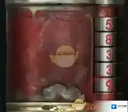 纸嫁衣8千子树拿到