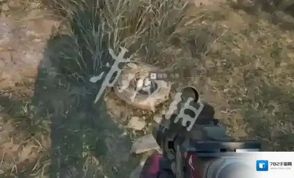 三角洲行动保险箱