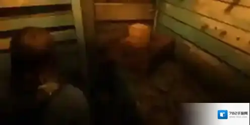 荒野大镖客暴躁老太太怎么救 荒野大镖客救暴躁老太太方法攻略