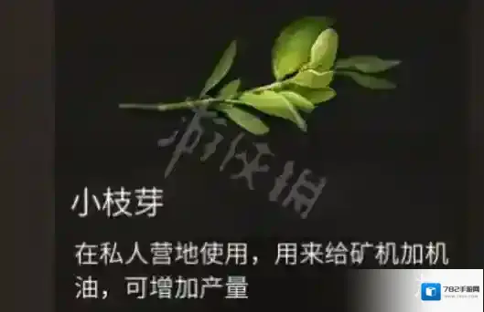 明日之后小枝芽怎么获得 明日之后小枝芽获得方法