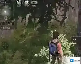 明日之后浆果怎么获得 明日之后刷浆果的方法