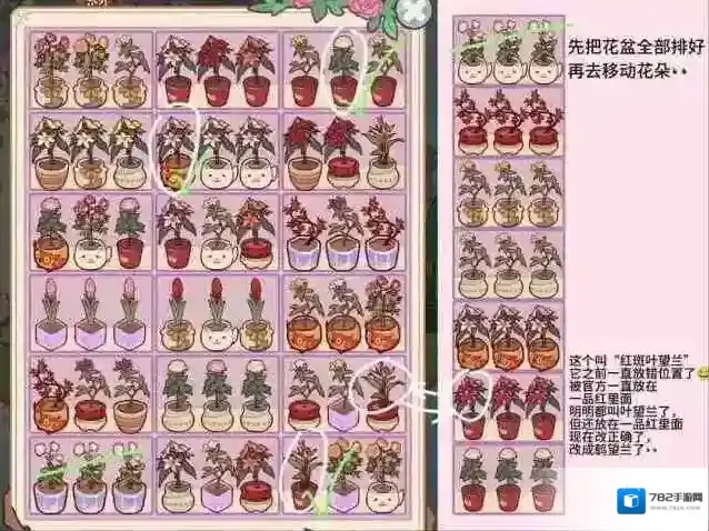 我的休闲时光风信