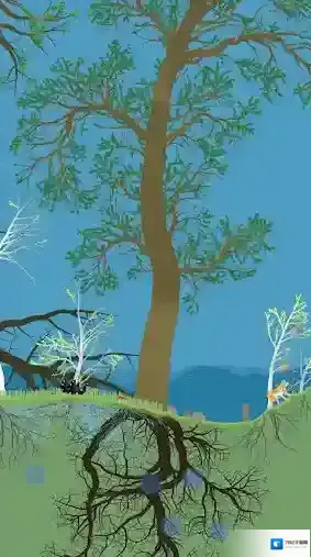 小松林生态系统