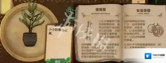 游侠网87