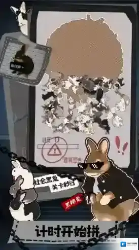 挤在一起的兔兔在一起