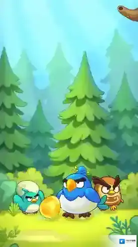 萌鸟总动员小鸟