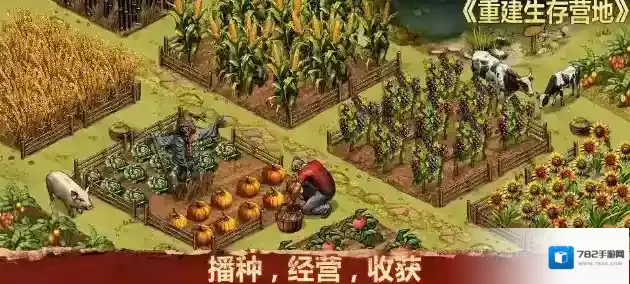 重建生存营地探索