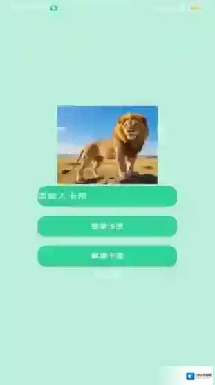 狮子王直装直装