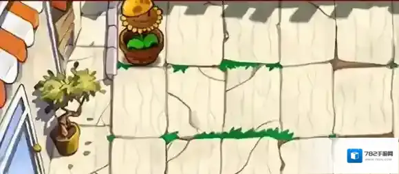 植物大战僵尸杂交版斗地主3分怎么过-植物大战僵尸杂交版商店副本斗地主3分攻略