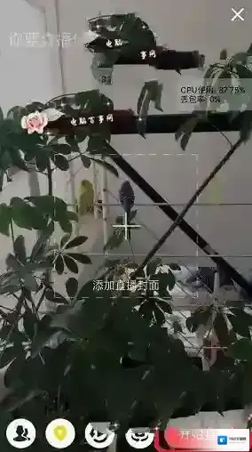 QQ空间直播