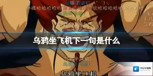 乌鸦坐飞机下一句是什么 乌鸦坐飞机是什么意思