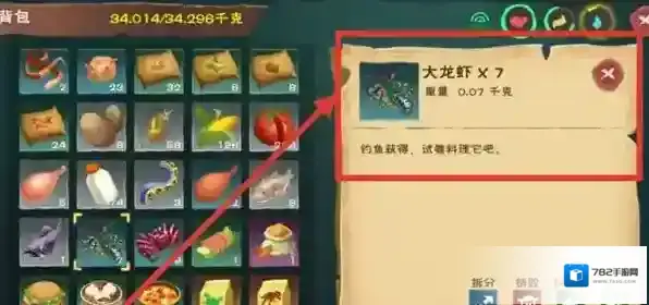 创造与魔法玩家