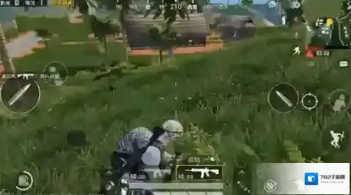 和平精英新手攻略 实用玩法技巧分享