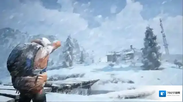 冬季生存模拟器玩家