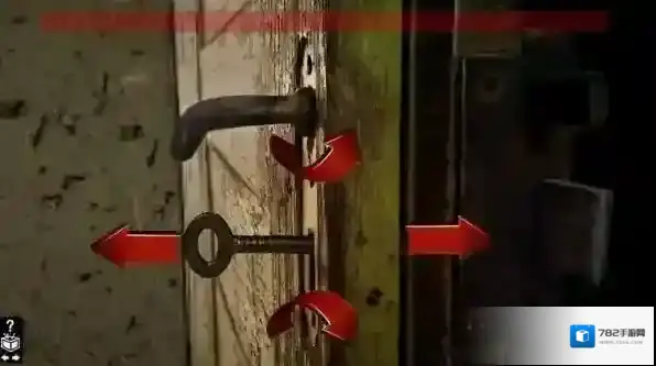 木箱樟Cedar chest探索