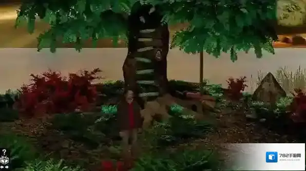 木箱樟Cedar chest剧情