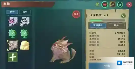 创造与魔法生命