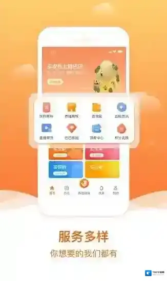 粮巴巴平台行业