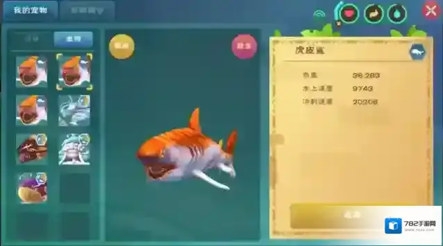 创造与魔法鲨鱼