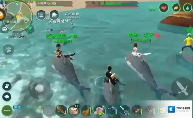 创造与魔法如何驯服鲨鱼 鲨鱼饲料怎么做