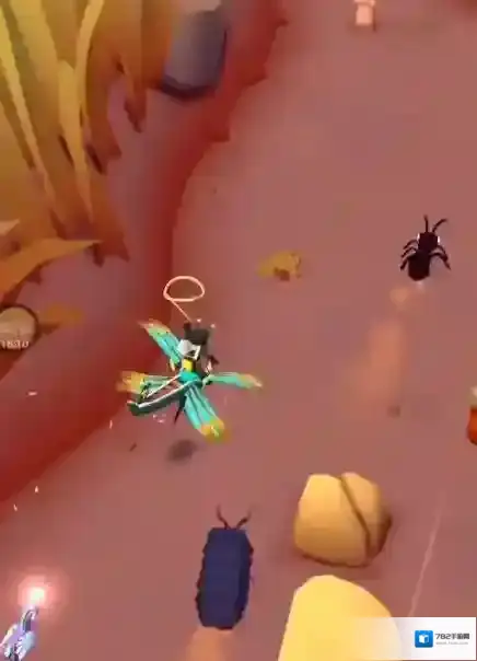 疯狂动物园捕捉