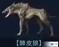 代号降临棘皮狼怎么样 代号降临棘皮狼介绍