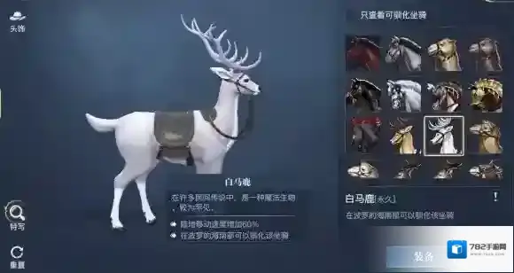 黎明之海坐骑怎么获得 黎明之海全坐骑攻略