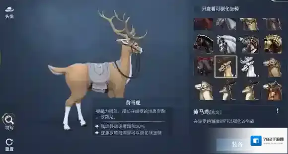 黎明之海坐骑怎么获得 黎明之海全坐骑攻略