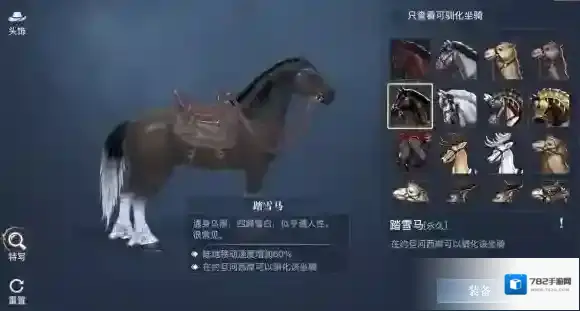 黎明之海坐骑怎么获得 黎明之海全坐骑攻略