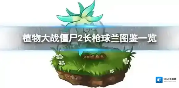 植物大战僵尸2长枪球兰怎么样 植物大战僵尸2长枪球兰图鉴一览